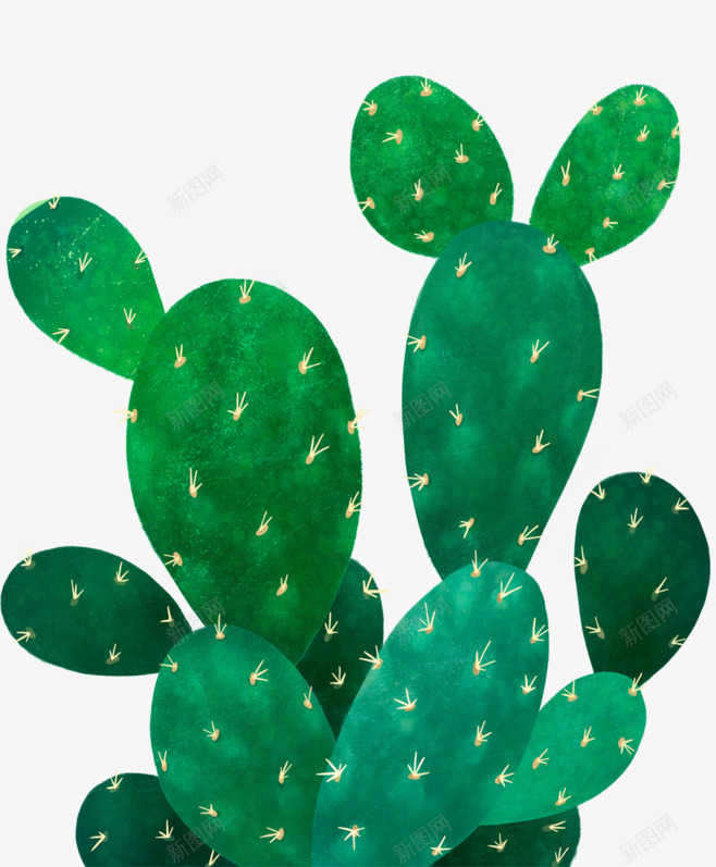 仙人掌植物卡通插画png免抠素材_新图网 https://ixintu.com 仙人掌 仙人掌植物卡通插画 免抠PNG 植物 热带植物 绿色