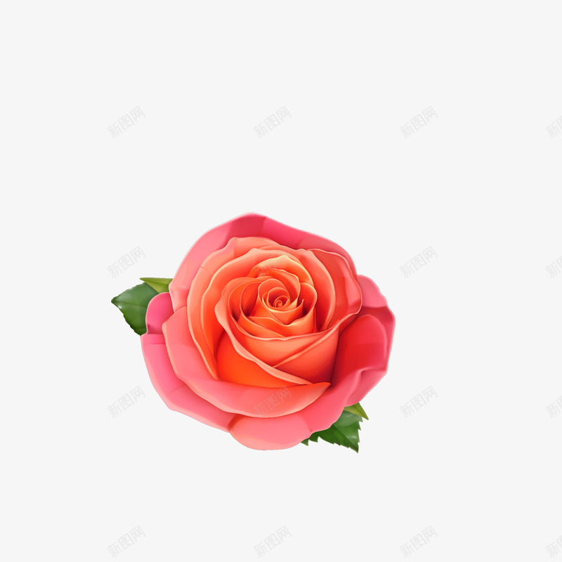 粉色爱情玫瑰花矢量图eps免抠素材_新图网 https://ixintu.com png免抠图 卡通 情人节 手绘 浪漫 玫瑰花 甜蜜 礼物 矢量图