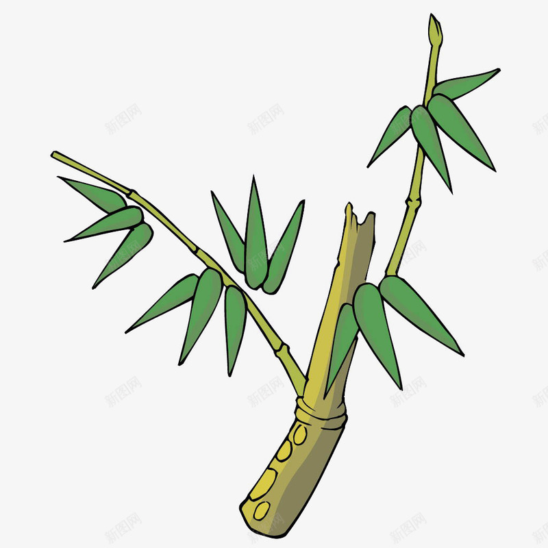 竹叶素描竹子png免抠素材_新图网 https://ixintu.com 卡通素材 手绘竹叶素材 手绘竹子素材 竹叶 竹叶素材 竹子 绿竹 翠竹