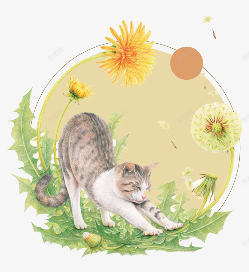 可爱宠物小猫咪鲜花png免抠素材_新图网 https://ixintu.com 动物 可爱 可爱宠物小猫咪鲜花 宠物 小猫咪 猫咪 鲜花