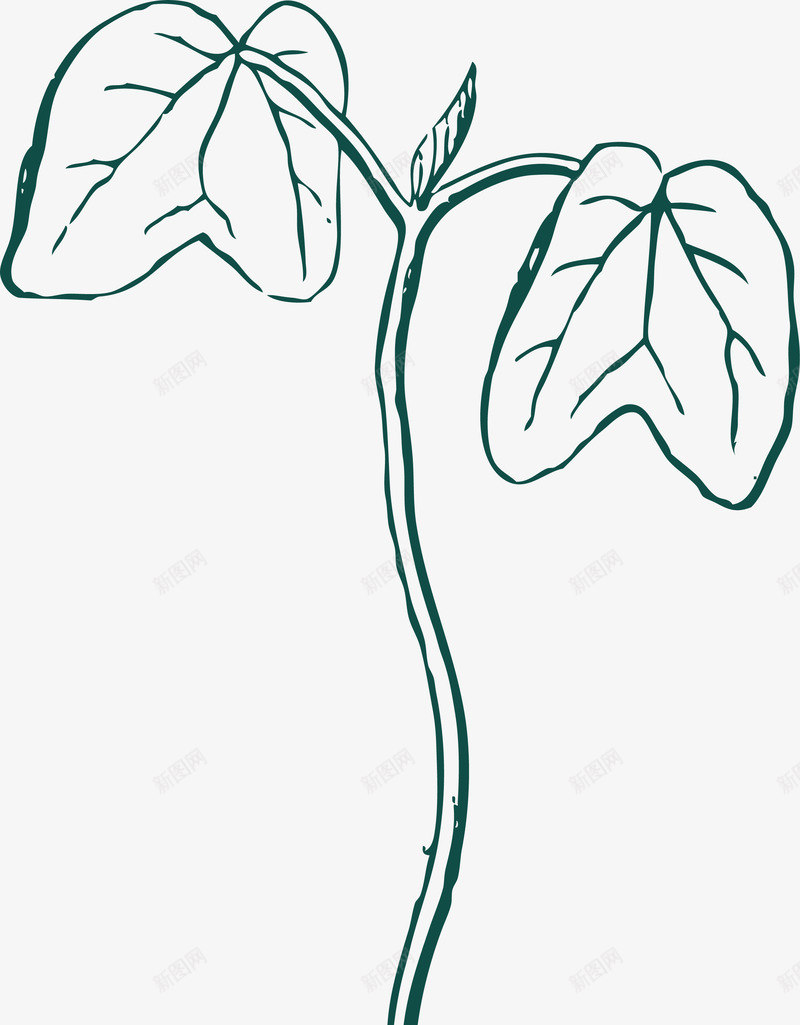 手绘秋分种子线稿插画矢量图ai免抠素材_新图网 https://ixintu.com 卡通种子 秋分 秋季 秋收 种子手绘线稿插画 种子线稿 线稿 矢量图