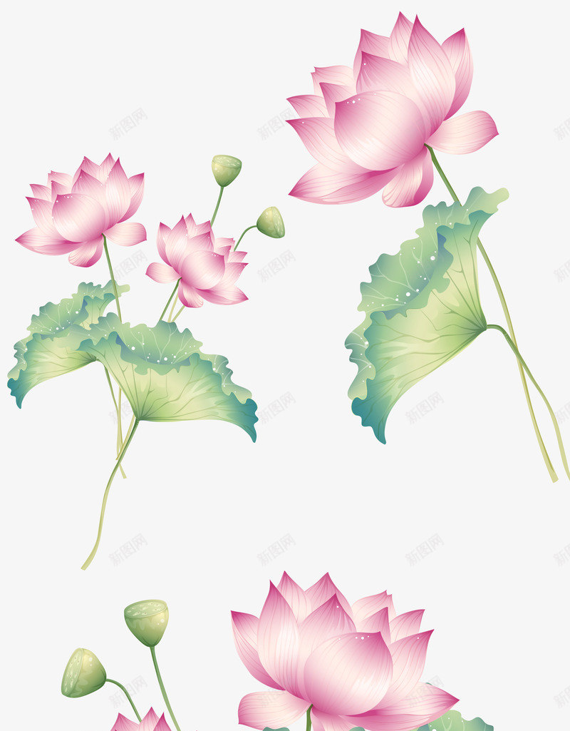 卡通植物插画莲花花苞png免抠素材_新图网 https://ixintu.com 卡通 插画 植物 花苞 莲花 设计