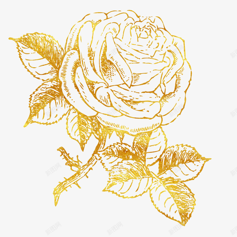 潮流烫金玫瑰花图png免抠素材_新图网 https://ixintu.com 214 520 免抠图 情人节 植物 潮流 烫金 玫瑰花 花 金色花 镀金 黄金花