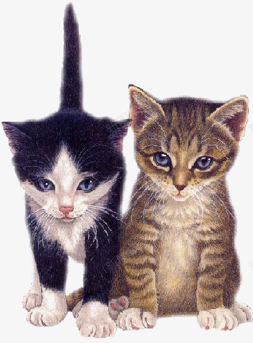 手绘猫咪png免抠素材_新图网 https://ixintu.com 动物 卡通猫咪 宠物猫 小猫咪 猫咪插画 虎纹猫咪