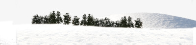 雪中的森林png免抠素材_新图网 https://ixintu.com 山坡 树木 森林 白色 白雪