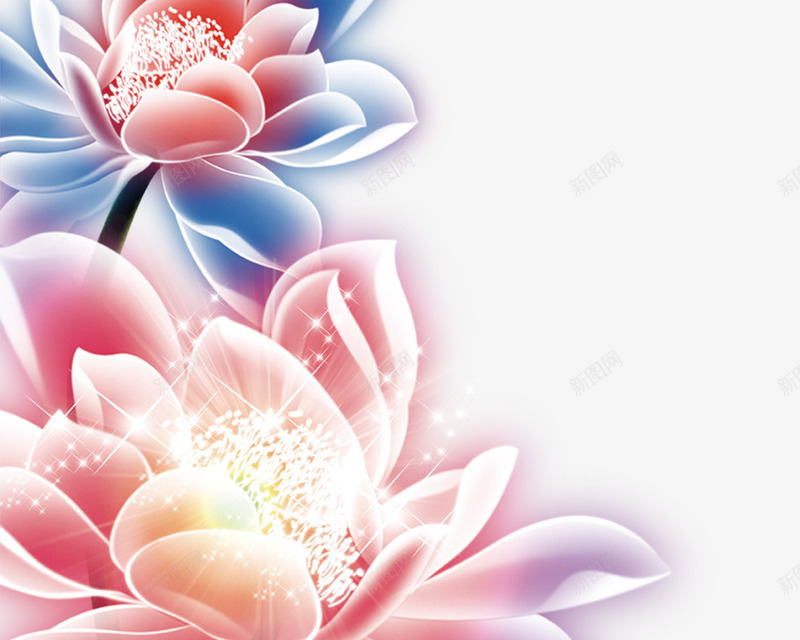 炫彩莲花psd免抠素材_新图网 https://ixintu.com 炫彩 花类 莲花