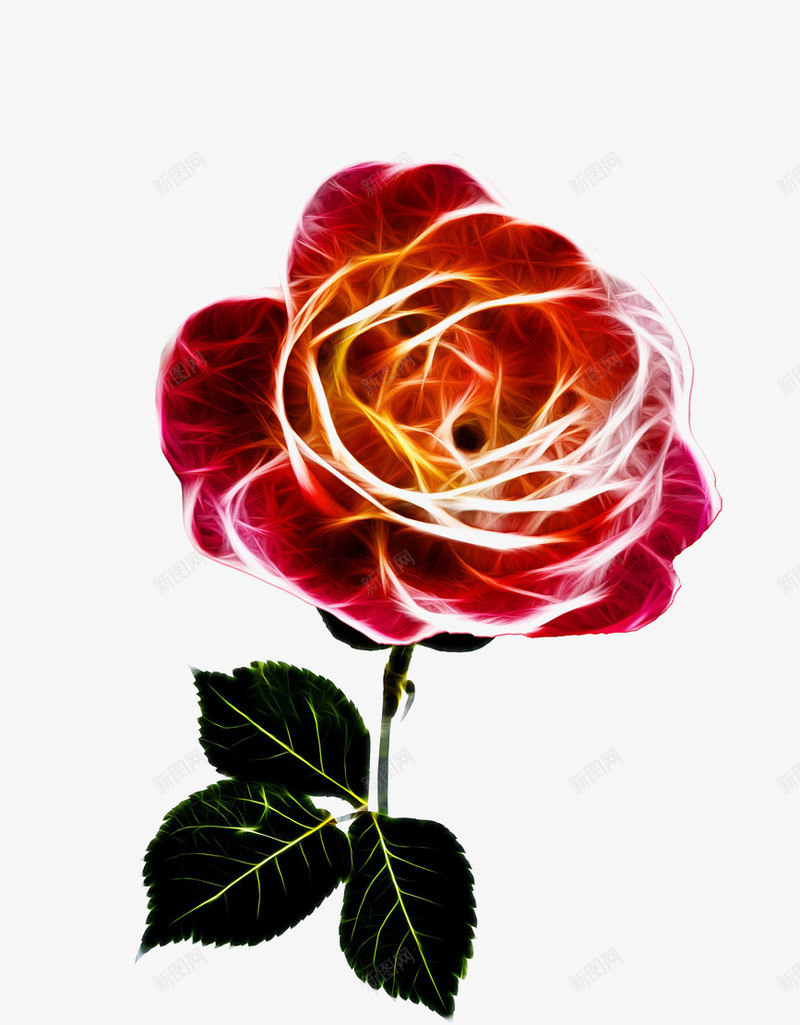 火焰玫瑰花png免抠素材_新图网 https://ixintu.com 情人节 植物 植物元素 火焰 火焰喷射 玫瑰花 红色 背景装饰