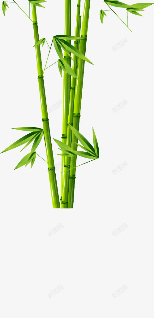 清新竹子竹叶矢量图ai免抠素材_新图网 https://ixintu.com 清新 竹叶 竹子 矢量图