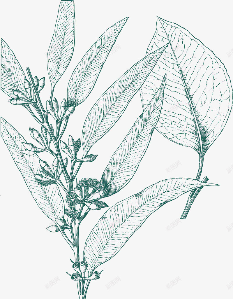 丰硕的茶叶画作png免抠素材_新图网 https://ixintu.com 丰硕 手绘茶叶 新鲜茶叶 水彩茶叶 画作 蓝色
