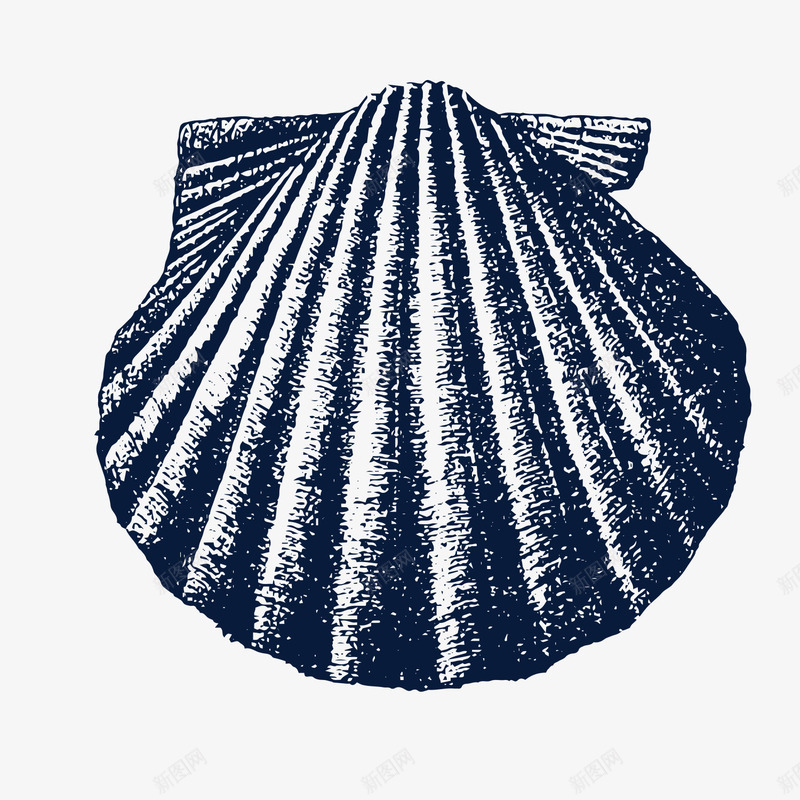 手绘扇贝贝壳图标png_新图网 https://ixintu.com 夏天海边 夏天海边海报 扇贝贝壳 手绘贝壳 插画 沙滩 海洋生物 海鲜 生鲜 贝壳 贝壳素描 贝壳花纹 贝壳装饰 贝类 软体动物