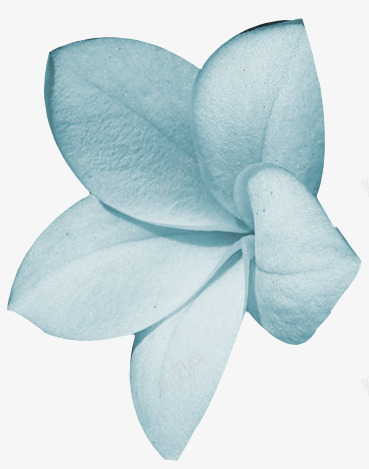 抽象鲜花庆典花卉png免抠素材_新图网 https://ixintu.com 卡通鲜花图片 手绘花朵图片 抽象鲜花 花卉图案素材 鲜花元素
