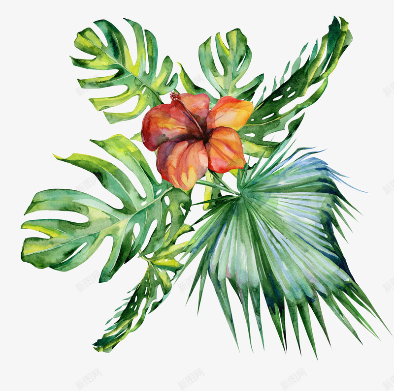 文艺清新花草海报装饰png免抠素材_新图网 https://ixintu.com 小清新花草装饰 文艺花草PPT制作 植物插画 海报设计 花草包装礼盒 花草插画 花草装饰