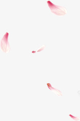 情人节粉红色花瓣飘落png免抠素材_新图网 https://ixintu.com 情人节 粉红色 花瓣 飘落