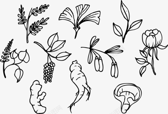 创意插画立秋植物简笔画彩绘位图矢量图图标图标