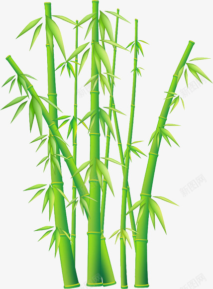 手绘竹子园林植物png免抠素材_新图网 https://ixintu.com 园林 植物 竹子