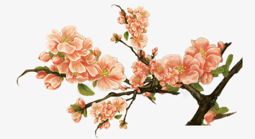 粉色桃花图案psd免抠素材_新图网 https://ixintu.com 新春 春天 桃花 粉色