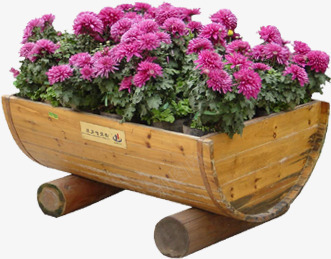 粉色花朵木头花盆png免抠素材_新图网 https://ixintu.com 木头 粉色 花朵 花盆