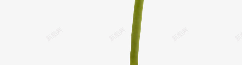 红色植物黑色芯的一朵大花实物png免抠素材_新图网 https://ixintu.com 一朵大花 种类 花冠 花卉 花托 花梗 花瓣 花芯 花萼 香味 鲜艳