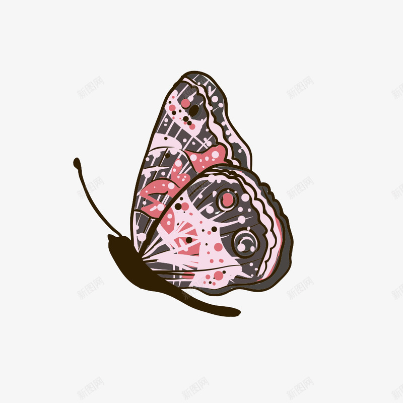 蝴蝶粉色蝶衣花纹复杂png免抠素材_新图网 https://ixintu.com 卡通 手绘 线稿填色
