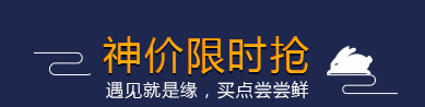 神价限时抢活动电商字体png免抠素材_新图网 https://ixintu.com 字体 活动 限时