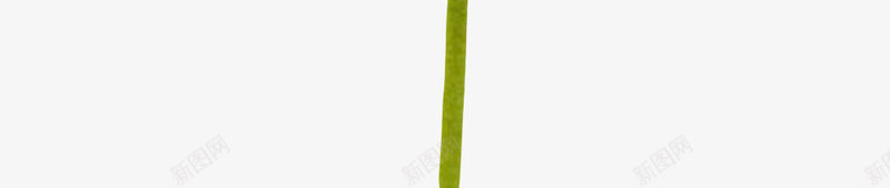 橙色植物带梗的一朵大花实物png免抠素材_新图网 https://ixintu.com 一朵大花 种类 花冠 花卉 花托 花梗 花芯 花萼 香艳 鲜艳