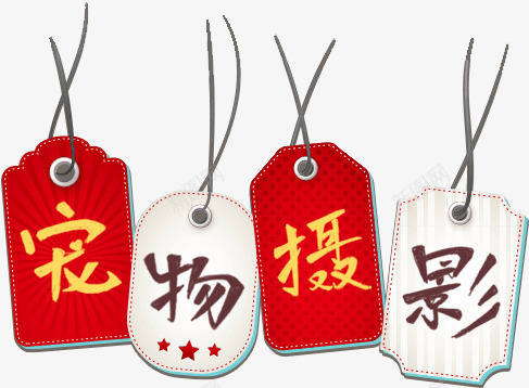 宠物摄影png免抠素材_新图网 https://ixintu.com 宠物店 宠物摄影 宠物服务 艺术字