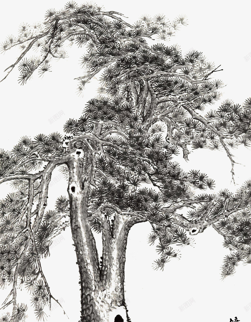 国画大松树png免抠素材_新图网 https://ixintu.com 国画 国画线稿 松树 松树线稿 水墨迎客松 迎客松 迎客松水墨画