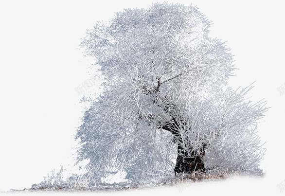 创意合成造型雪花树林png免抠素材_新图网 https://ixintu.com 创意树林 树林 雪花 雪花树林