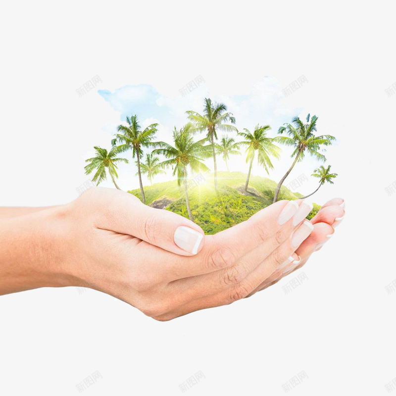 捧在手心的雨林png免抠素材_新图网 https://ixintu.com 公益 商业 手心 捧在手心 环境 雨林
