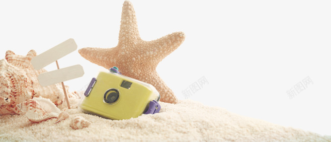 沙滩海星png免抠素材_新图网 https://ixintu.com 沙滩 海星