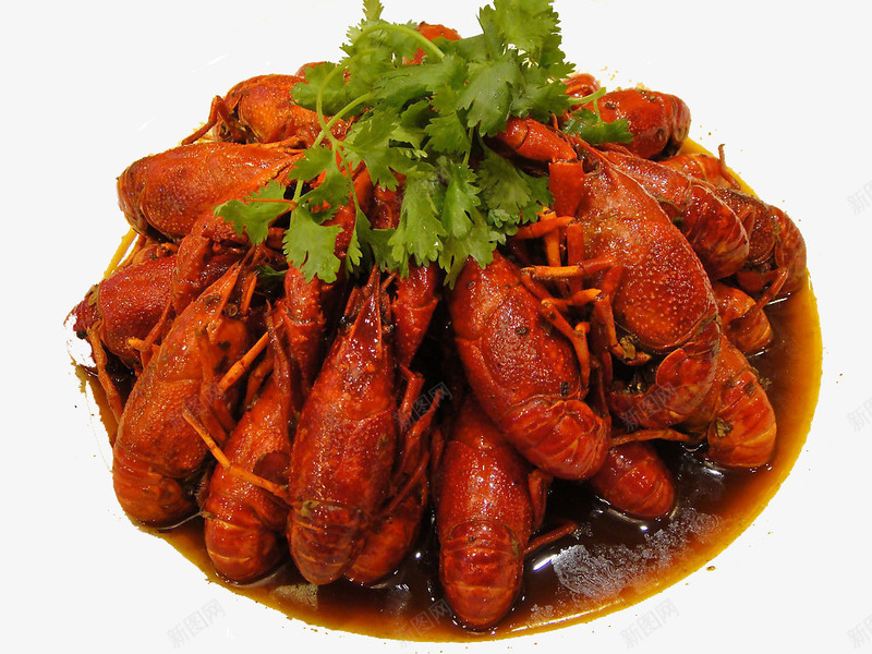 龙虾配香菜png免抠素材_新图网 https://ixintu.com 产品实物 龙虾 龙虾产品 龙虾设计