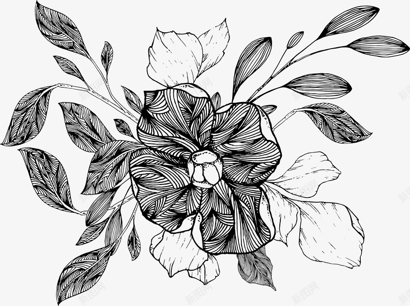 素色线描植物2png免抠素材_新图网 https://ixintu.com 叶 手绘 素色 线描