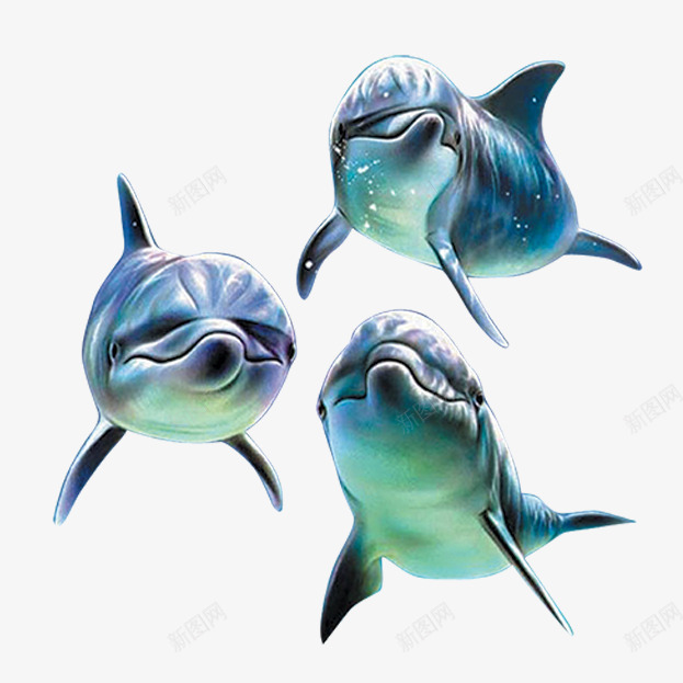 可爱海豚装饰psd免抠素材_新图网 https://ixintu.com 动物 卡通 可爱 海豚