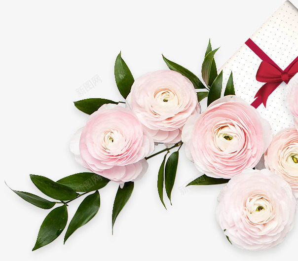 节日祝福粉嫩花卉礼物png免抠素材_新图网 https://ixintu.com 礼物 祝福 粉嫩 节日 花卉