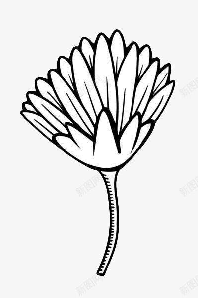 手绘黑色花卉图标png_新图网 https://ixintu.com 植物 白描 线描花矢量图 线条手绘 花卉 黑色手绘