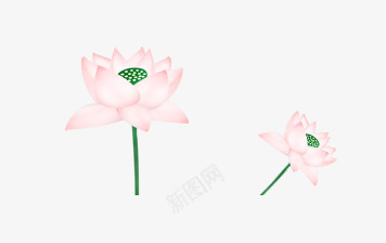 化妆品广告美白化妆品补水化png免抠素材_新图网 https://ixintu.com 化妆品广告 化妆美肤 美白化妆品 补水化妆品