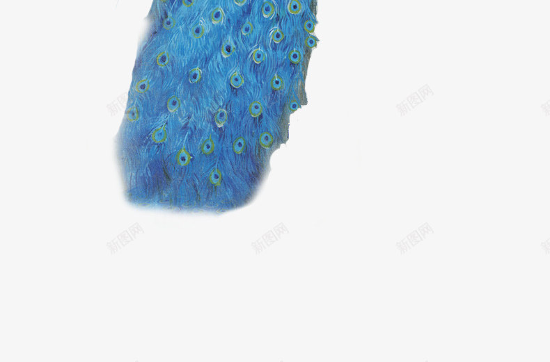 蓝色唯美孔雀造型png免抠素材_新图网 https://ixintu.com 孔雀 蓝色 造型
