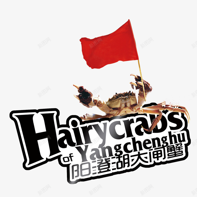 阳澄湖大闸蟹png免抠素材_新图网 https://ixintu.com 大闸蟹 旗帜 艺术字 螃蟹 阳澄湖