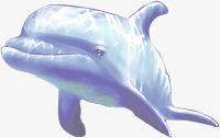海豚鱼蓝色png免抠素材_新图网 https://ixintu.com 海豚 蓝色 鱼