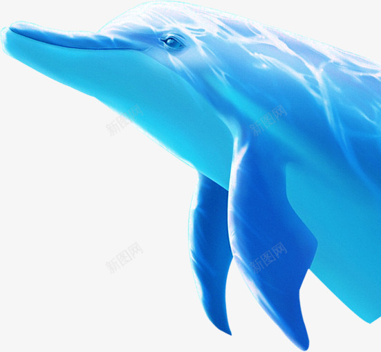 海豚png免抠素材_新图网 https://ixintu.com 水底海豚 海豚 蓝色海豚