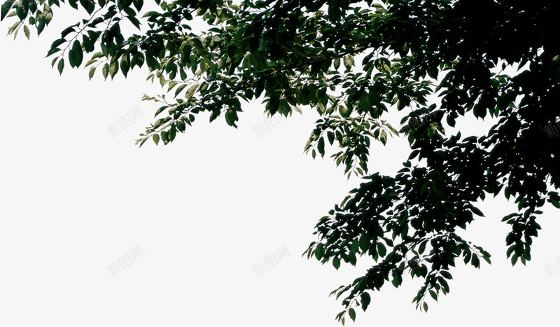地产景观美景效果png免抠素材_新图网 https://ixintu.com 地产 效果 景观 美景