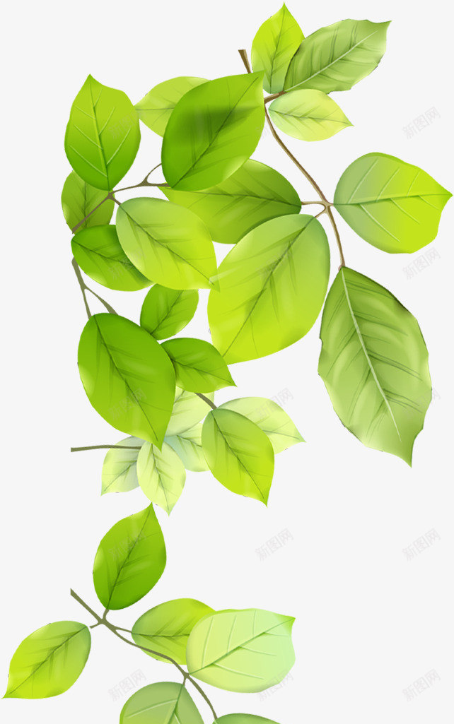 绿色清爽手绘树叶美景风光png免抠素材_新图网 https://ixintu.com 树叶 清爽 绿色 美景 风光