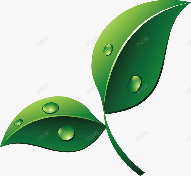 绿色树叶露珠修饰植物矢量图ai免抠素材_新图网 https://ixintu.com 修饰 树叶 植物矢量 绿色 绿色树叶 绿色树叶露珠修饰植物矢量 露珠 矢量图