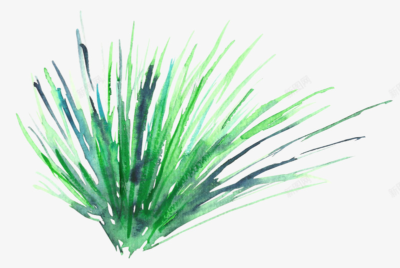 绿草png免抠素材_新图网 https://ixintu.com 手绘绿草 植物 水彩植物 绿色 草丛