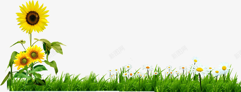 创意教师节海报植物绿草花朵png免抠素材_新图网 https://ixintu.com 创意 教师节 植物 海报 花朵