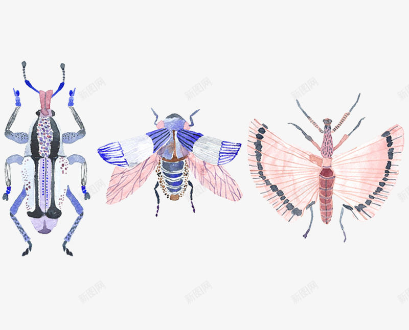 手绘水彩小清新昆虫png免抠素材_新图网 https://ixintu.com 卡通 天牛 小清新 手绘 昆虫 苍蝇 蛾