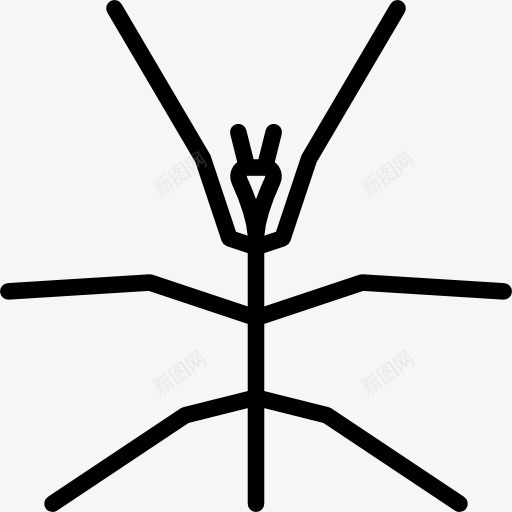 竹节虫图标png_新图网 https://ixintu.com 动物 昆虫学 竹节虫目 虫