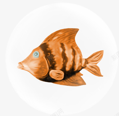气泡png免抠素材_新图网 https://ixintu.com 气泡 水底生物 水泡 漂浮物 热带鱼 鱼