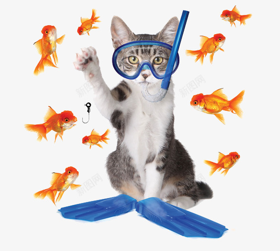 潜水猫咪png免抠素材_新图网 https://ixintu.com 潜水眼镜 金鱼 钓鱼 鱼钩