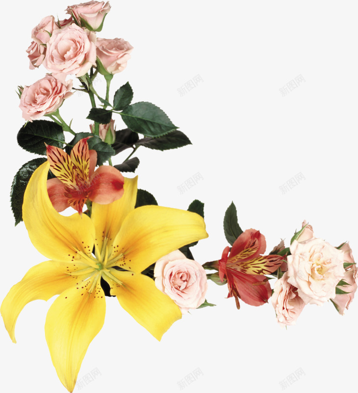 卡通手绘花朵装饰png免抠素材_新图网 https://ixintu.com 玫瑰花 粉色花朵 绿色植物 黄色百合花